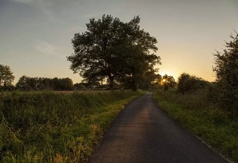 Bed and Breakfast Les Nuits Safranées