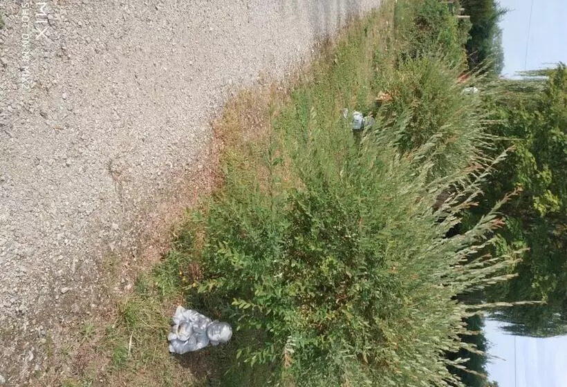 Bed and Breakfast Les Nuits Safranées