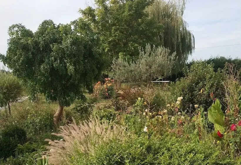 Bed and Breakfast Les Nuits Safranées