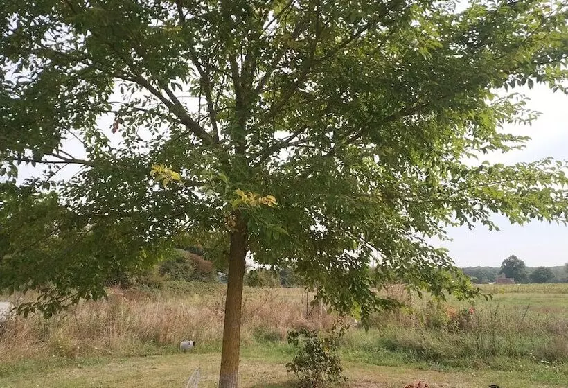 Bed and Breakfast Les Nuits Safranées