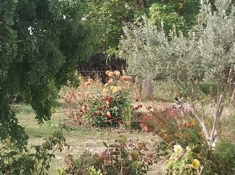 Bed and Breakfast Les Nuits Safranées