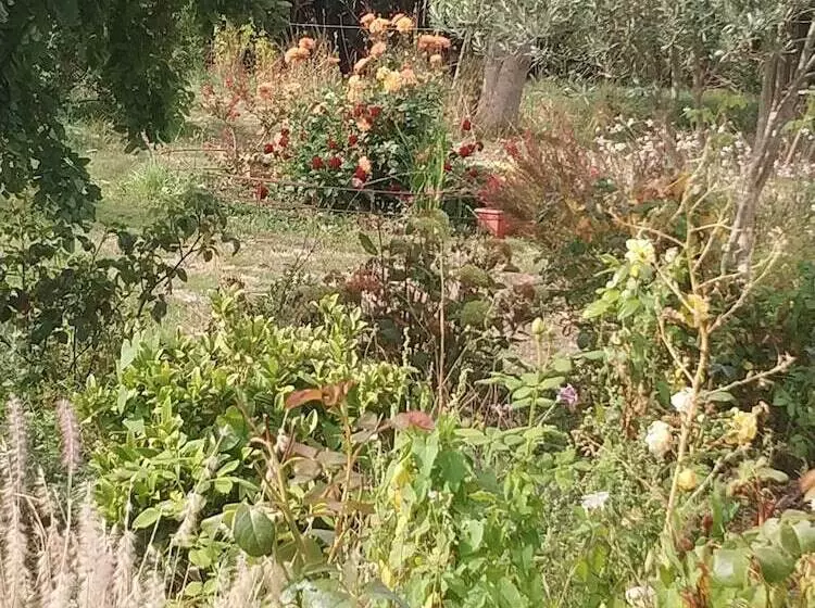 Bed and Breakfast Les Nuits Safranées