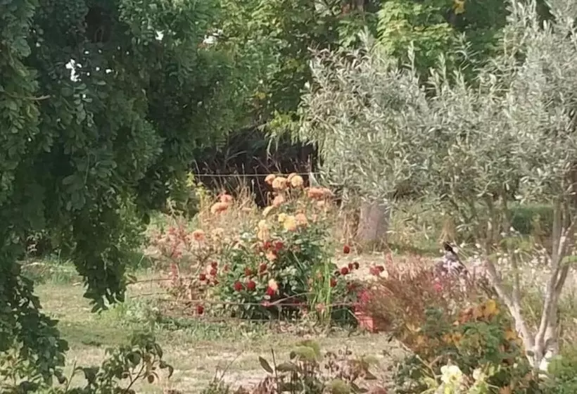 Bed and Breakfast Les Nuits Safranées