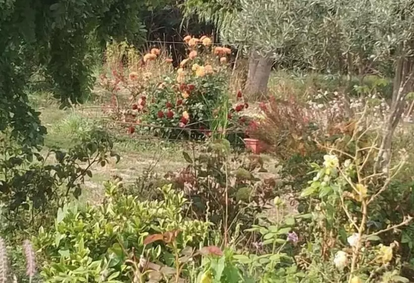 Bed and Breakfast Les Nuits Safranées