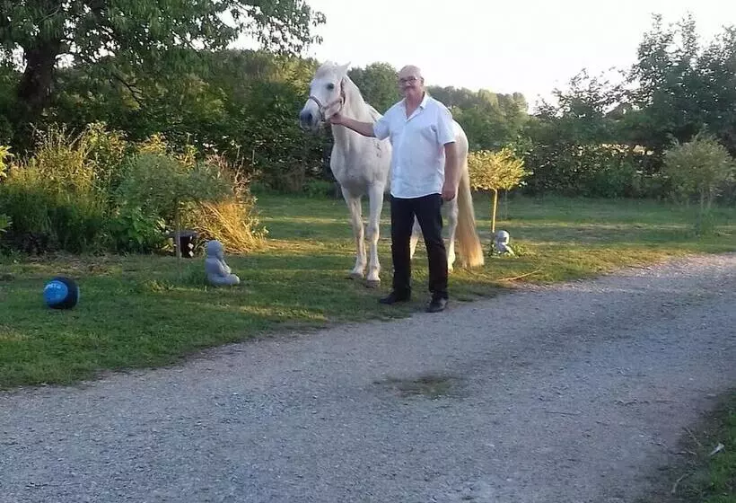 Bed and Breakfast Les Nuits Safranées