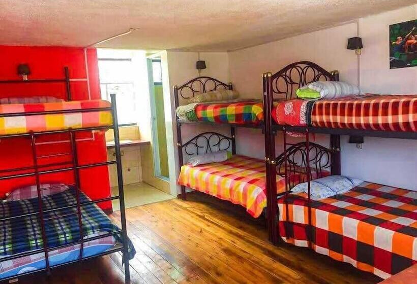 Hostal La Guayunga   Hostel