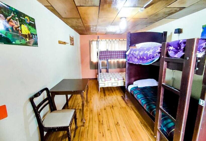 Hostal La Guayunga   Hostel