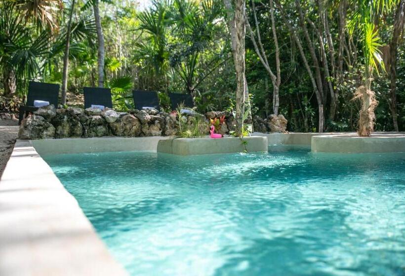 فندق Buenavista Bacalar