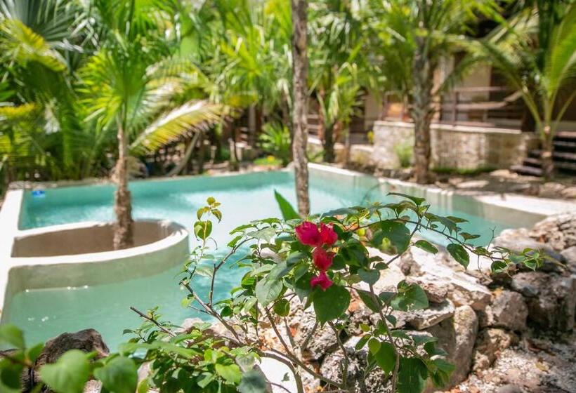 فندق Buenavista Bacalar