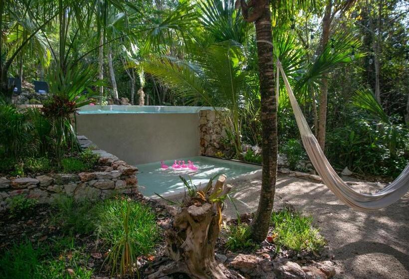 فندق Buenavista Bacalar