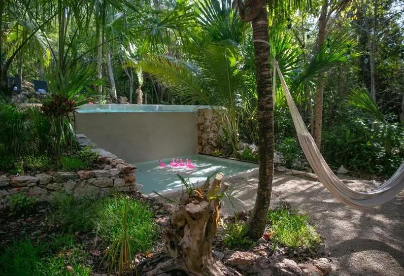 Hotelli Buenavista Bacalar