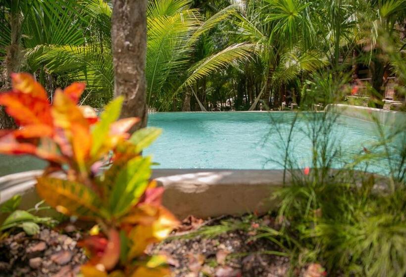 فندق Buenavista Bacalar