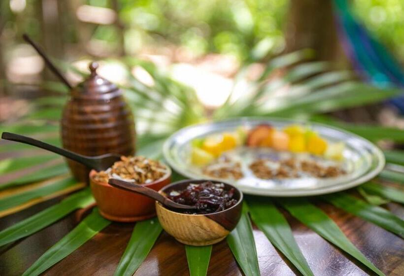 فندق Buenavista Bacalar