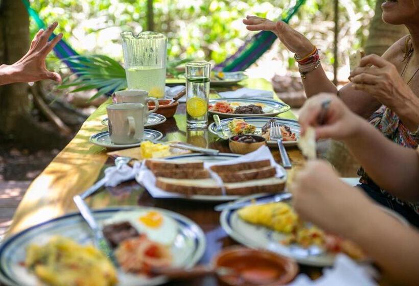 فندق Buenavista Bacalar