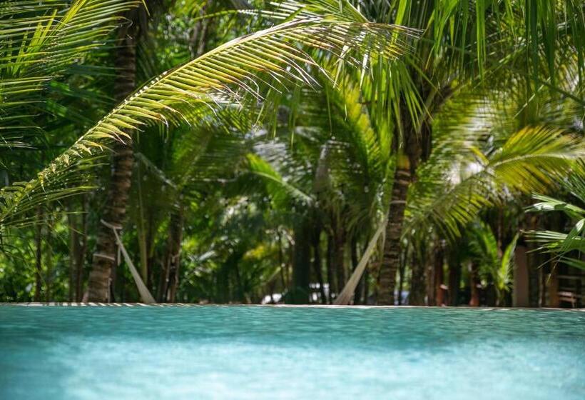 فندق Buenavista Bacalar