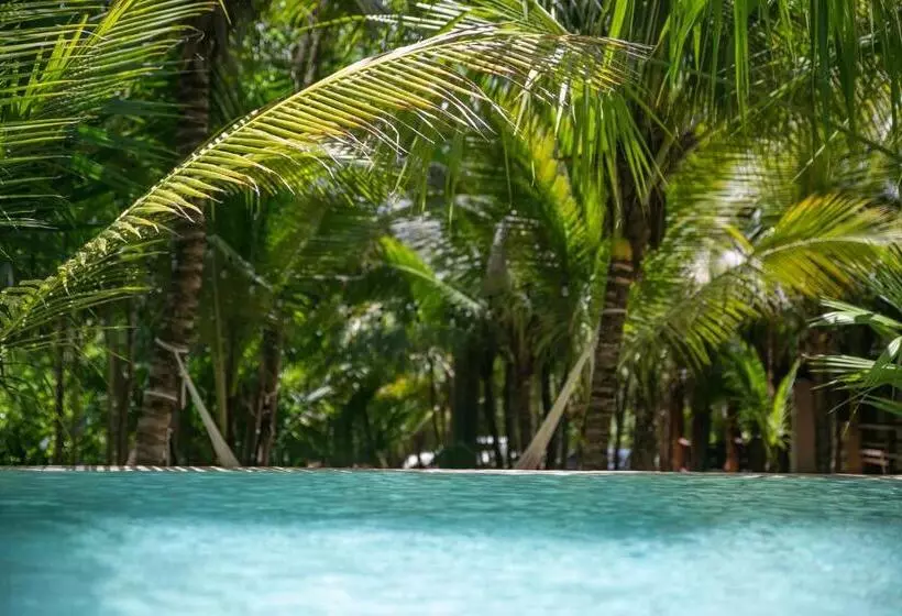 Hotelli Buenavista Bacalar