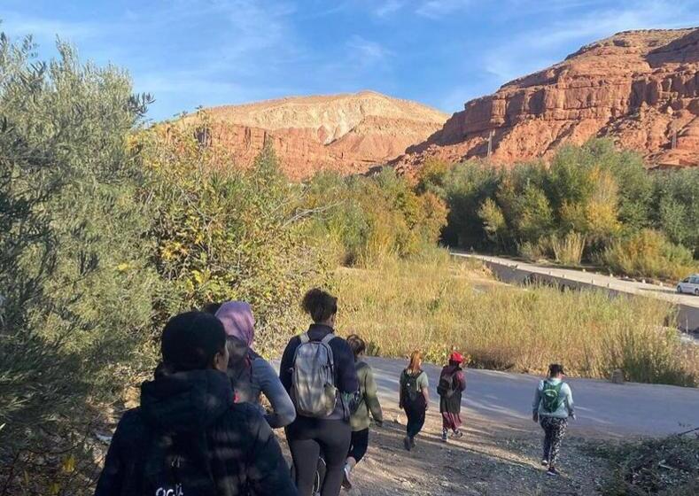 Отель Gîte D étape Tamaloute