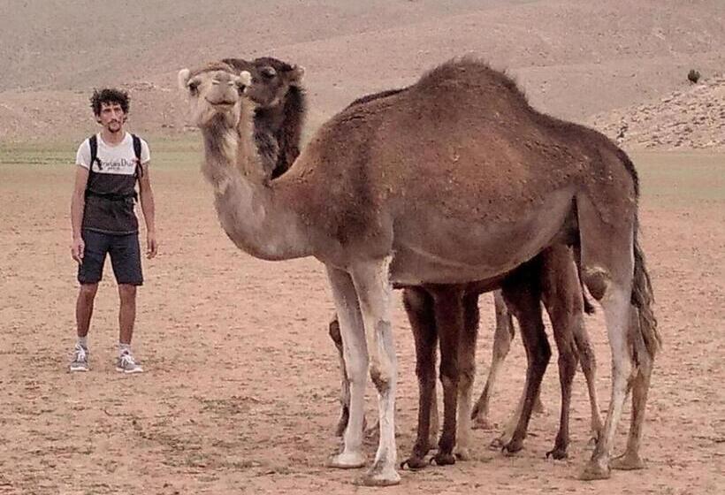 Отель Gîte D étape Tamaloute