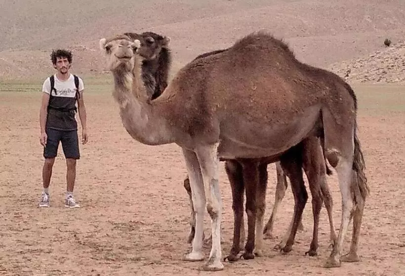 Hotelli Gîte D étape Tamaloute