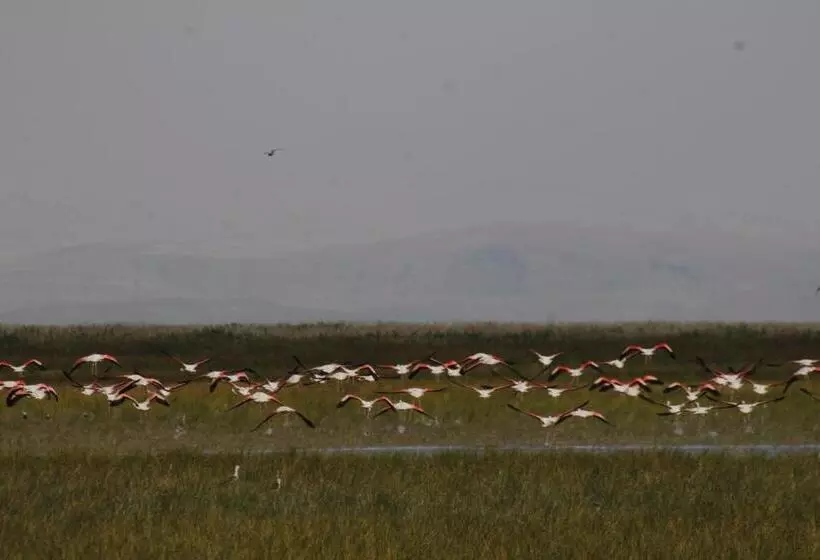 Hotelli Sultan Pansion Bird Paradise