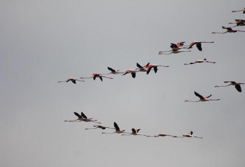 Hotel Sultan Pansion Bird Paradise