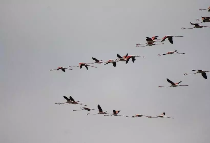 Hotelli Sultan Pansion Bird Paradise