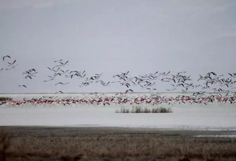 Hotelli Sultan Pansion Bird Paradise