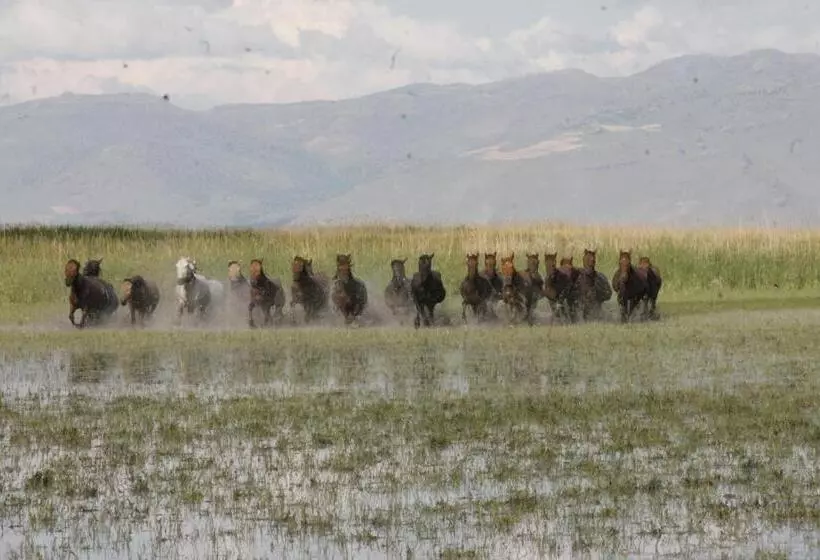 Hotelli Sultan Pansion Bird Paradise