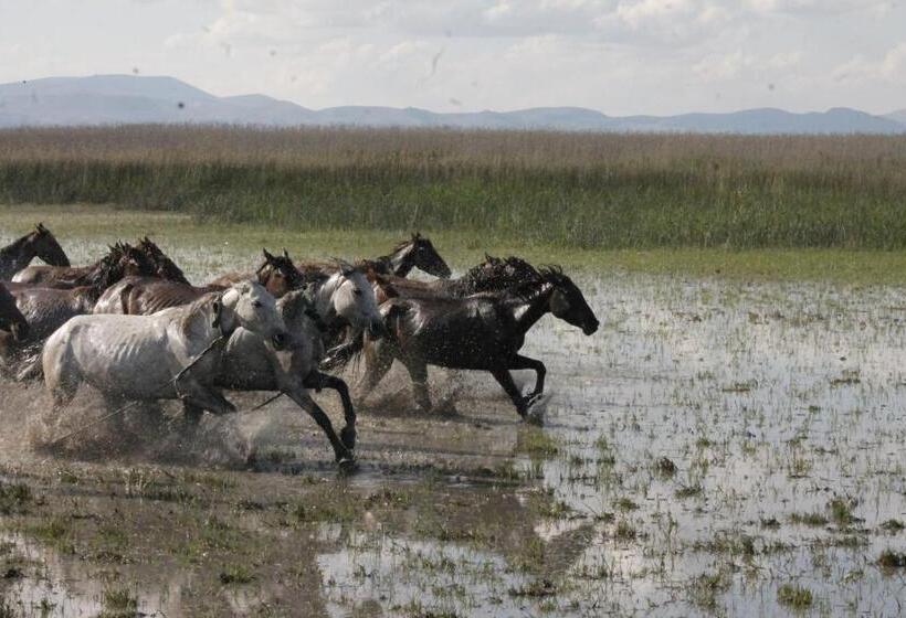 Hotel Sultan Pansion Bird Paradise