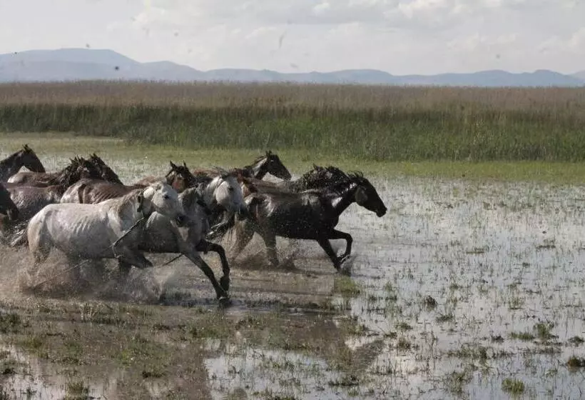 Hotelli Sultan Pansion Bird Paradise