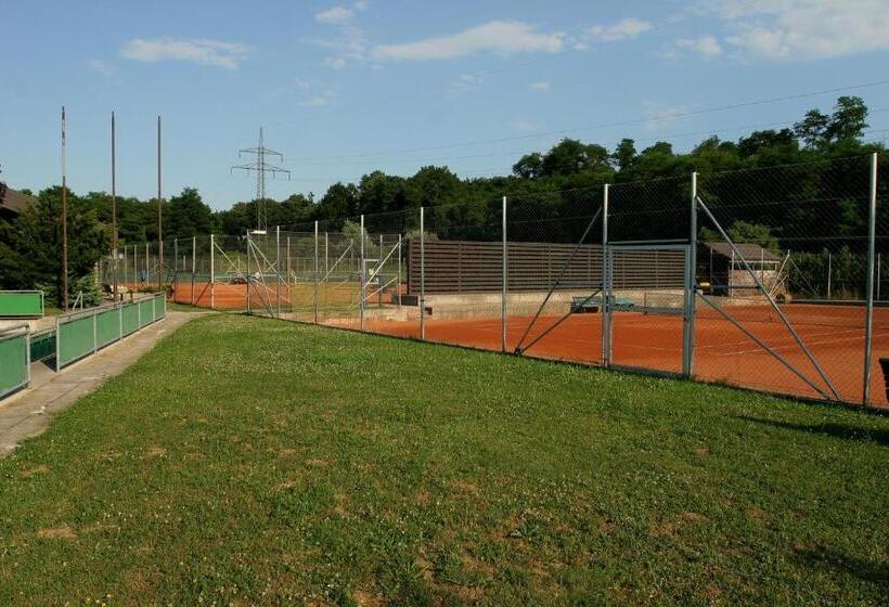 Отель Tennis  Und Freizeitzentrum Neudörfl