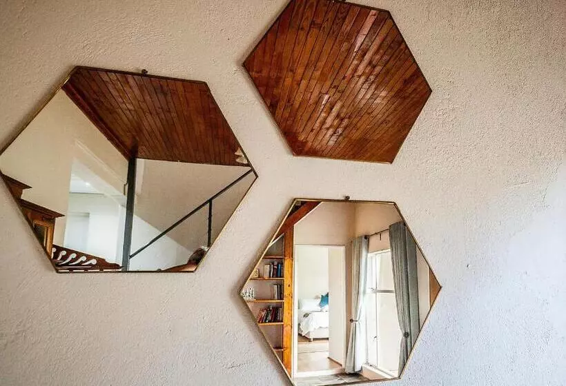 Hotelli Witfontein Game Lodge