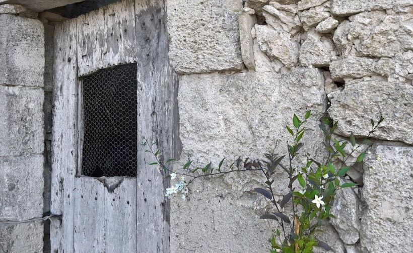 Пансион Grange De Lavande