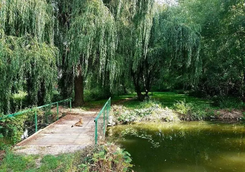 Majatalo Propriété Les Ruisseaux