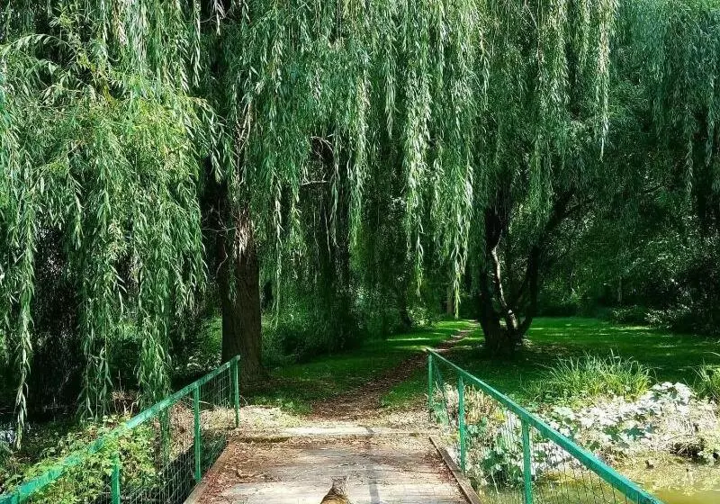 Majatalo Propriété Les Ruisseaux