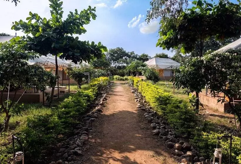 リゾートホテル Varawal Jawai Leopard Safari Camp