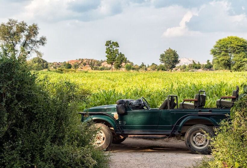 リゾートホテル Varawal Jawai Leopard Safari Camp
