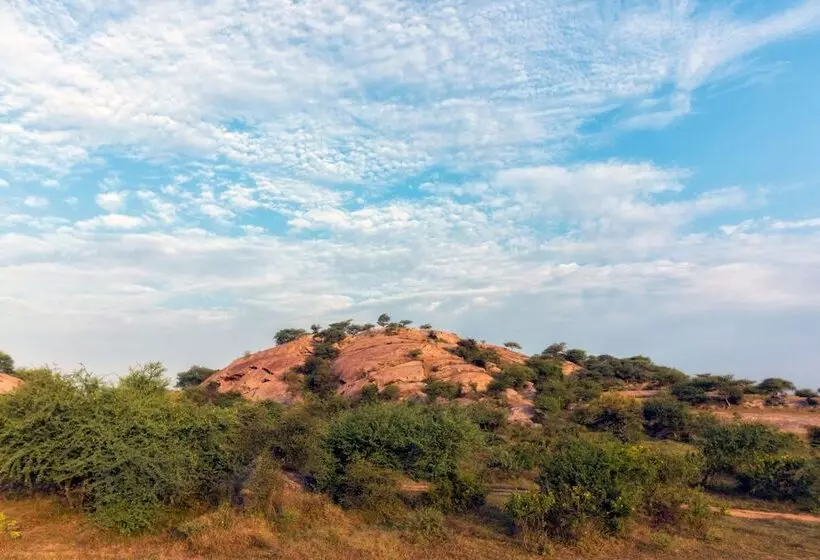 リゾートホテル Varawal Jawai Leopard Safari Camp