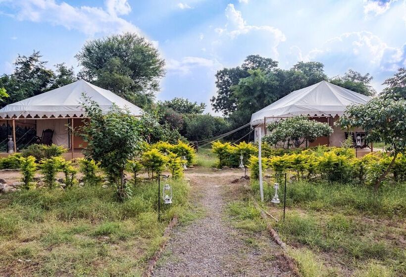 リゾートホテル Varawal Jawai Leopard Safari Camp