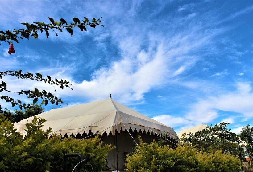 リゾートホテル Varawal Jawai Leopard Safari Camp