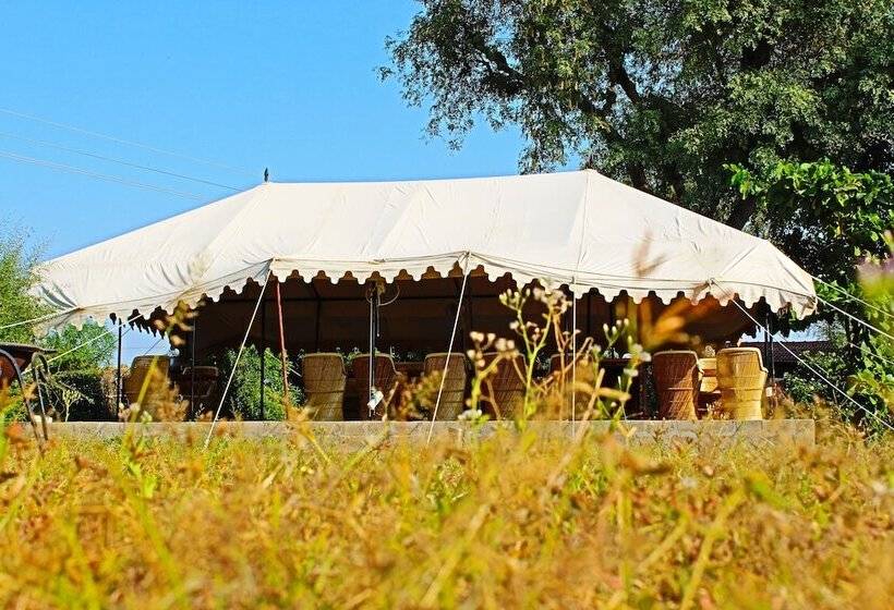 リゾートホテル Varawal Jawai Leopard Safari Camp