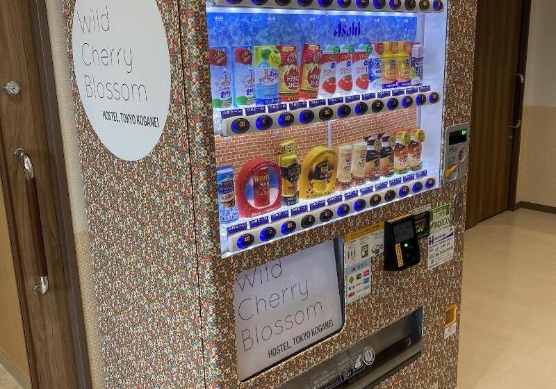 Wild Cherry Blossom Hostel Tokyo Koganei