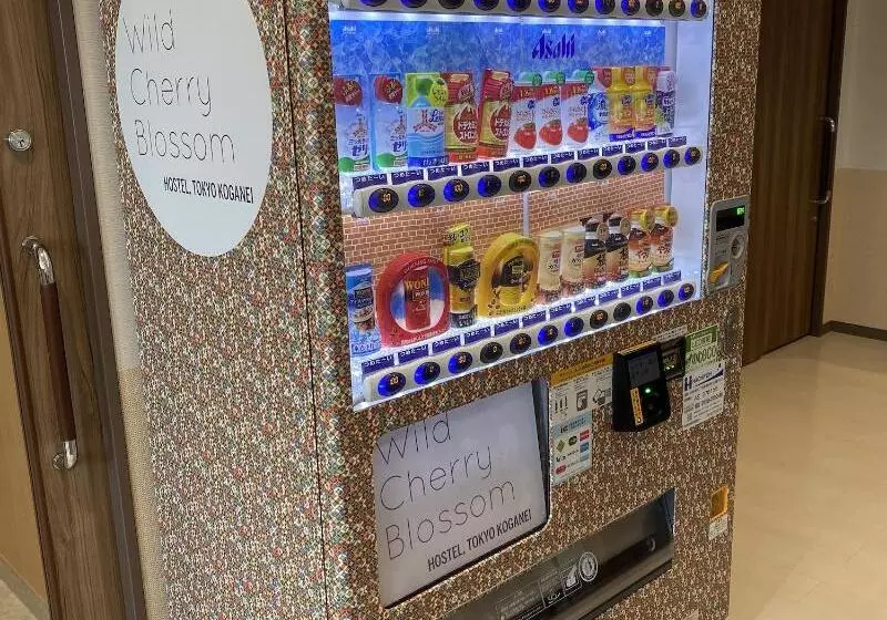 Wild Cherry Blossom Hostel Tokyo Koganei