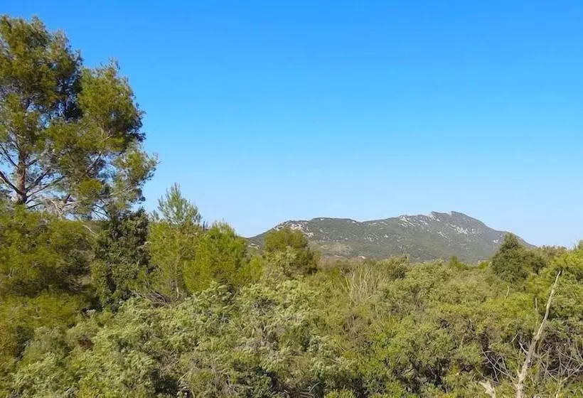 Aamiaismajoitus (B&B) Le Mas De La Draille
