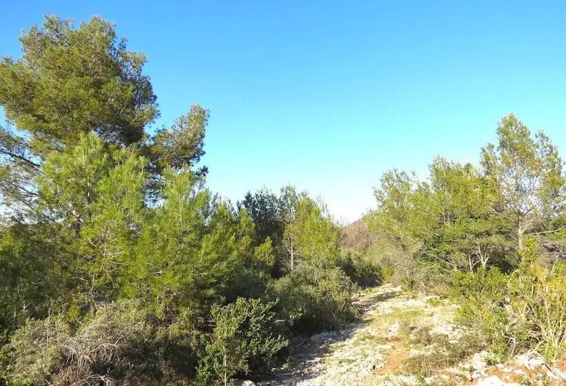 Aamiaismajoitus (B&B) Le Mas De La Draille