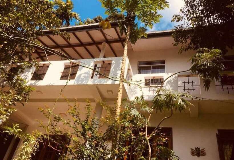 Bed and Breakfast The Toropi Home Stay