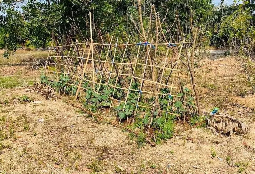 Majatalo Mulberry Resort