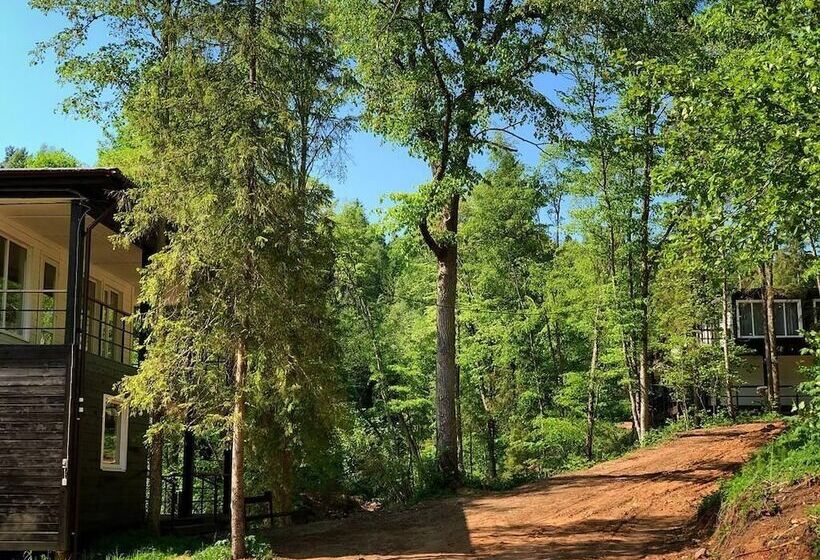 리조트 Ski Club Liubogorie