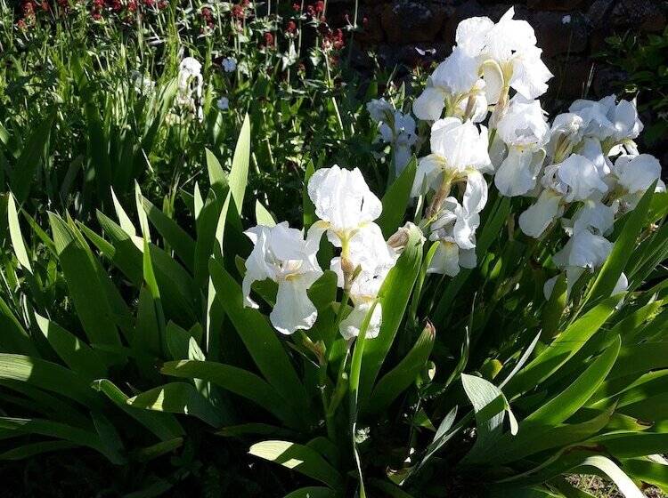 B&b Au Chant De L Eau