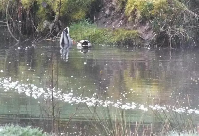 ベッドアンドブレックファースト Chambres D Hôtes La Charmante